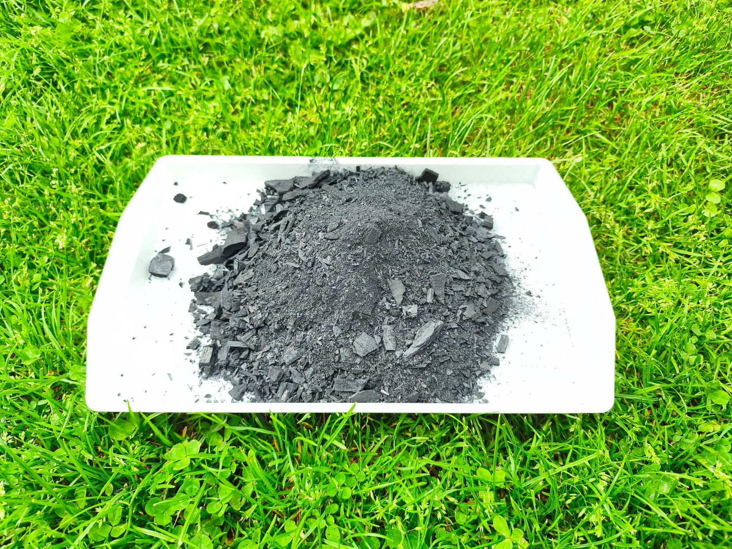 Biochar Raw